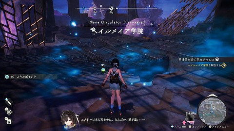 ヘイルメイア学院