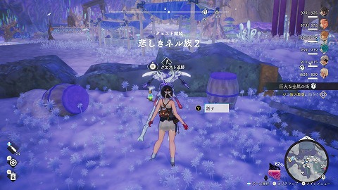 悲しきネル族2