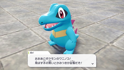 御三家ワニノコ