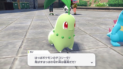 御三家チコリータ