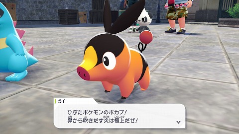 御三家ポカブ