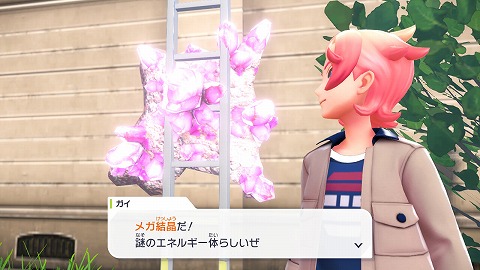 メガ結晶