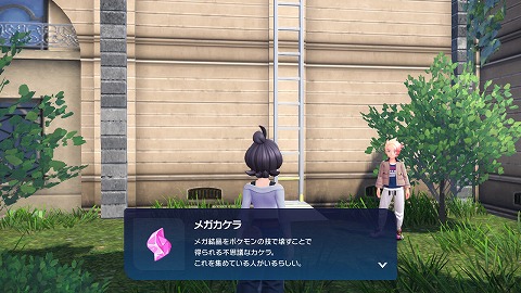 メガカケラ