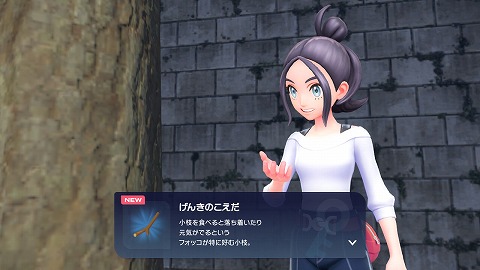 げんきのこえだ