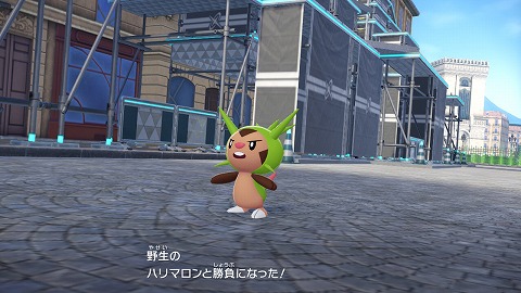 zaハリマロン