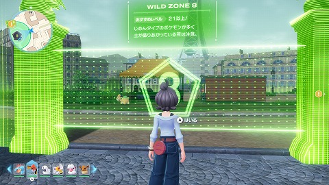 8番ワイルドゾーン