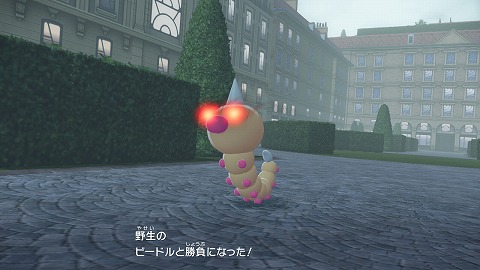 ビードルのオヤブン