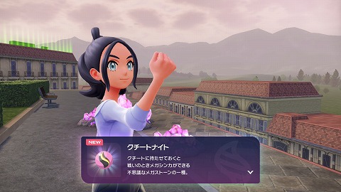 クチートナイト