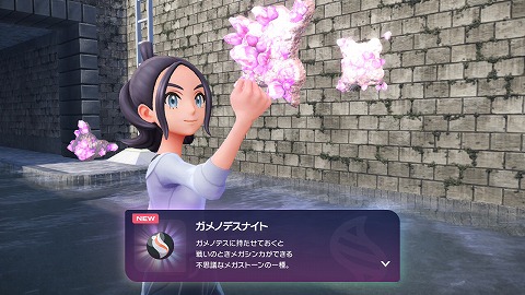 ガメノデスナイト