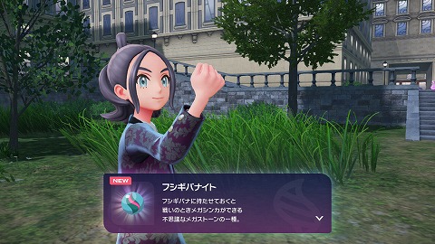 フシギバナイト