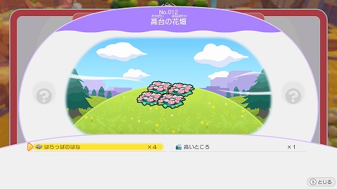ぽこあポケモン高台の花畑