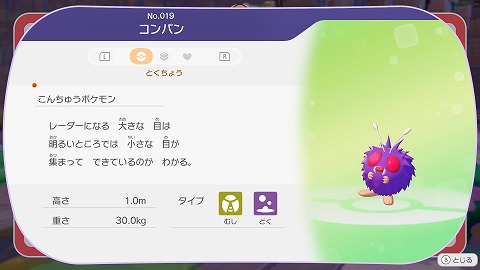 ぽこあポケモンコンパン