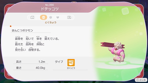 ぽこあポケモンドテッコツ