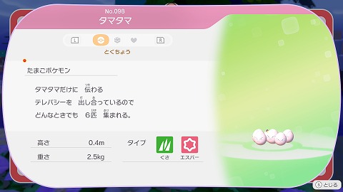 ぽこあポケモンタマタマ