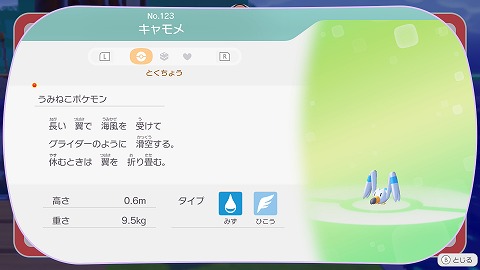 ぽこあポケモンキャモメ