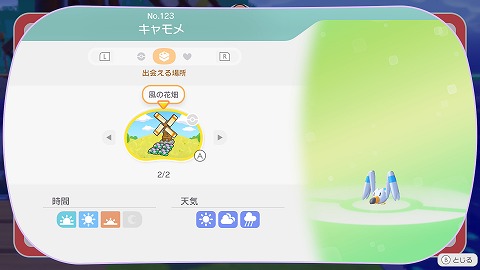 ぽこあポケモンキャモメ生息地