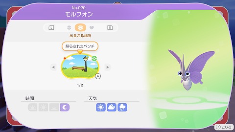 モルフォン生息地