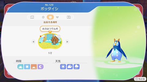 ぽこあポケモンポッタイシ生息地