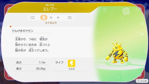 ぽこあポケモンエレブー