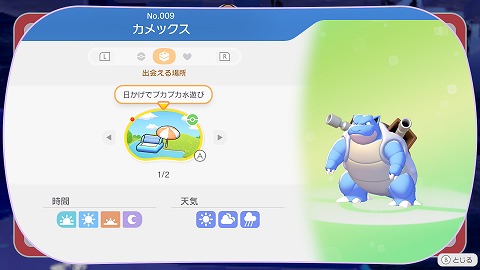 カメックス生息地