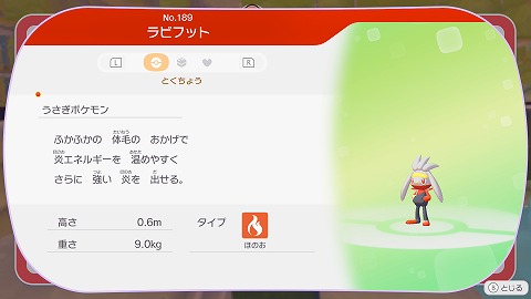 ぽこあポケモンラビフット