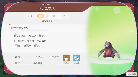 ぽこあポケモンドリュウズ