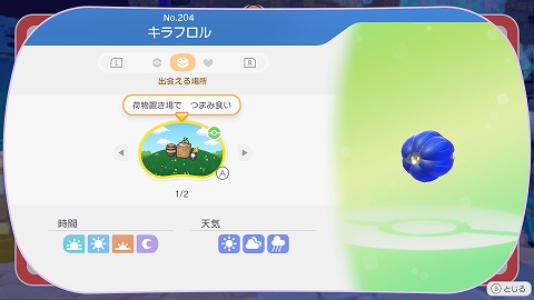 キラフロル生息地