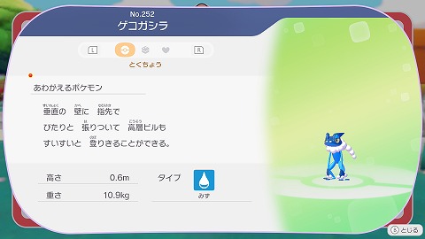 ぽこあポケモンゲコガシラ