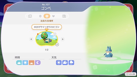 ゴンベの生息地