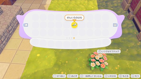 ぽこあポケモンぎんいろのはね