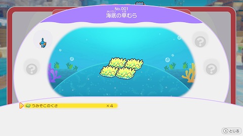 ぽこあ海底の草むら