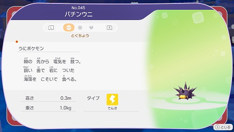 ぽこあポケモンバチンウニ