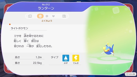 ぽこあポケモンランターン