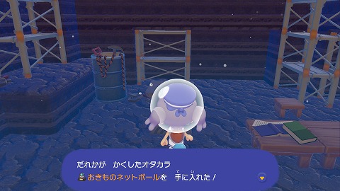 おきものネットボール