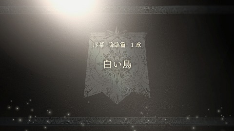 FE万紫千紅白い鳥