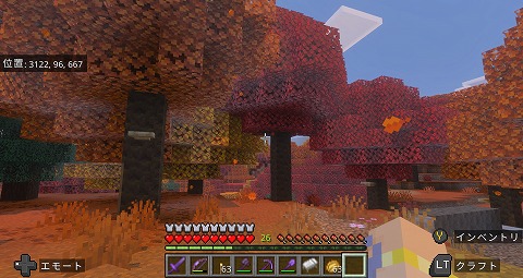 マイクラ紅葉まだらな森