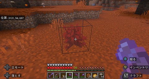 マイクラ赤色の低木